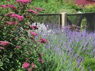 Appartamento Ostrau (Bad Schandau) Registrazione all'aperto 19