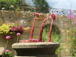 Appartamento Ostrau (Bad Schandau) Registrazione all'aperto 21