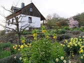 Cottage in Springtime