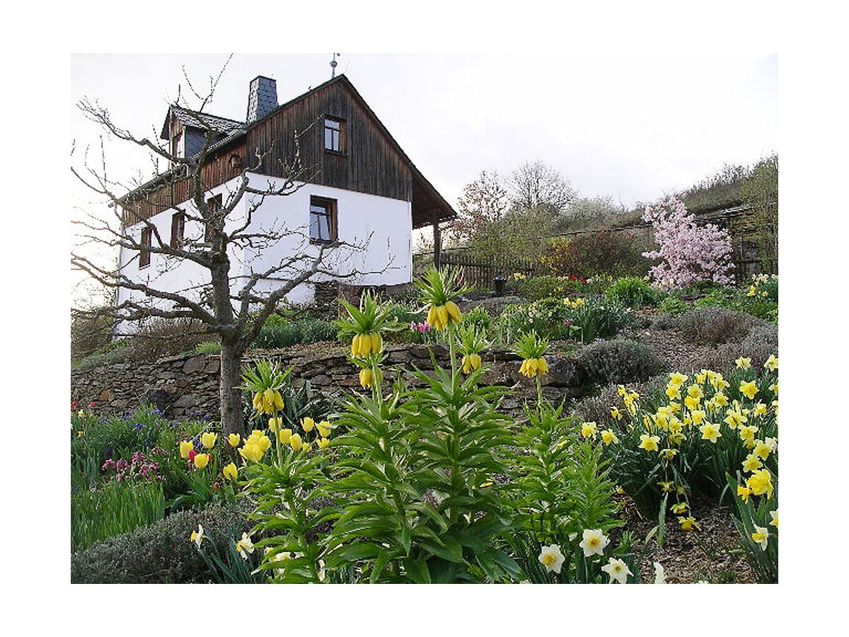 Ferienhaus Odins Mühle im Frühjahr