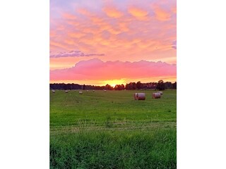 Casa per le vacanze Burg im Spreewald Registrazione all'aperto 12