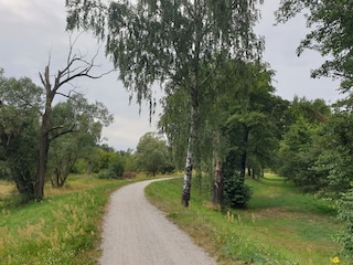 Herrliche Radwege überall