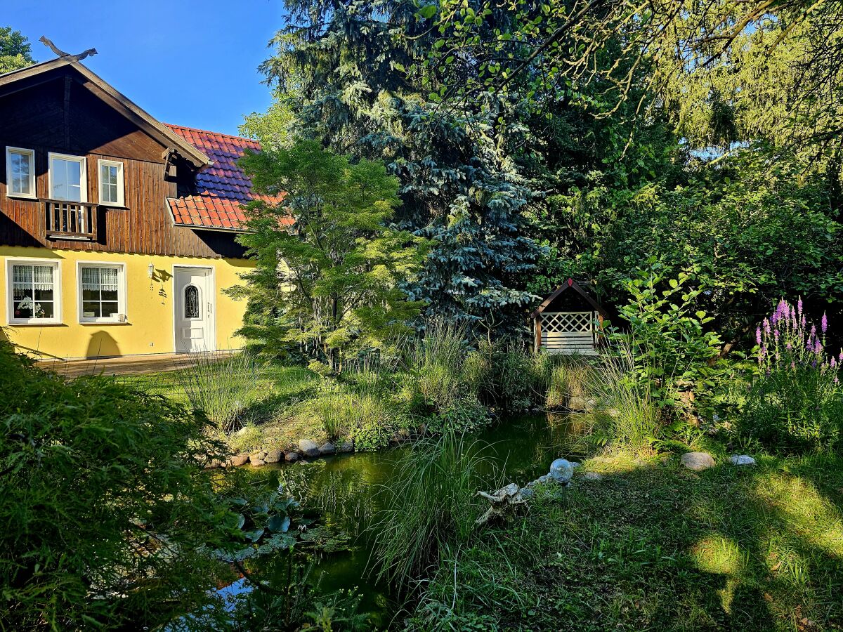 Blick vom Garten zum Haus