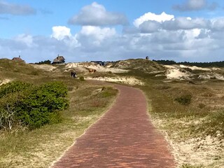 Vakantieappartement Groet Omgeving 30