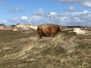 Vakantieappartement Groet Omgeving 31