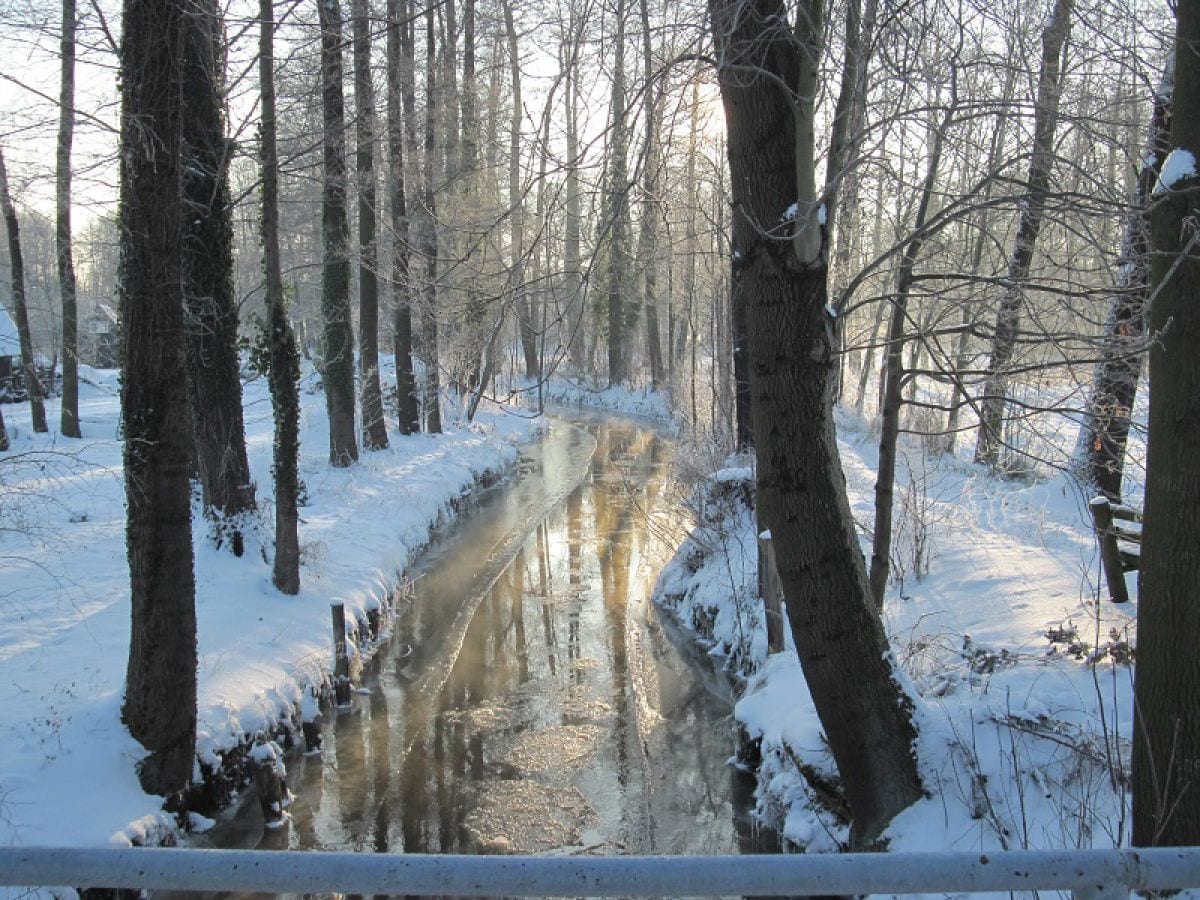 Spreewald im Winter