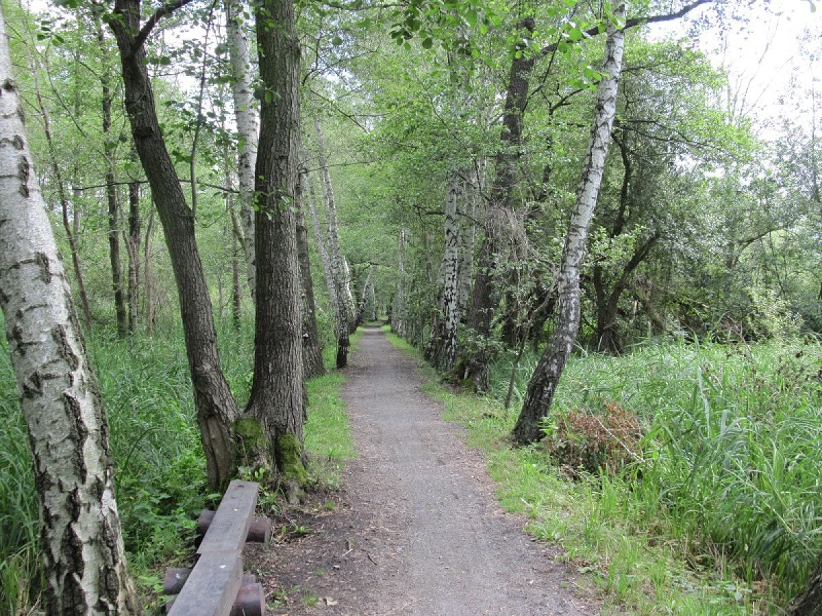 Radfahren im Spreewald