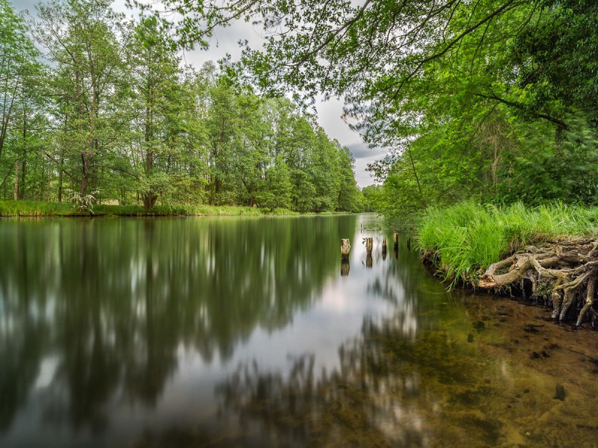 Spreewald