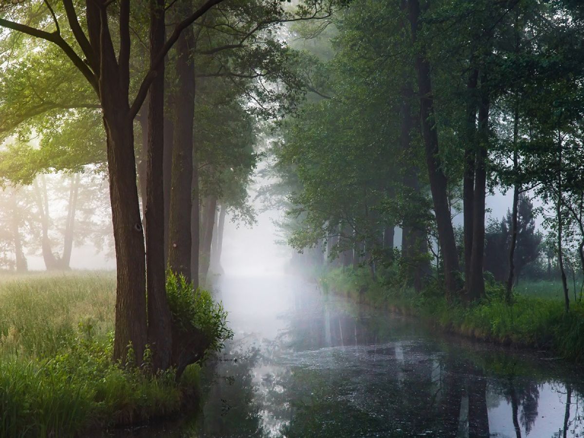 Sonnenaufgang im Spreewald