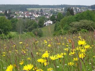 Unser Haus von Süden