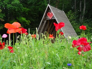 Die "Herzhütte" am Waldrand