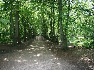 Bungalow Oostkapelle Environment 18