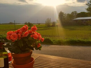 Holiday house Friedrichstadt Outdoor Recording 5