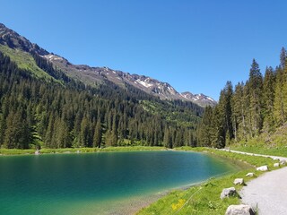 Appartamento per vacanze Riezlern Ambiente 29