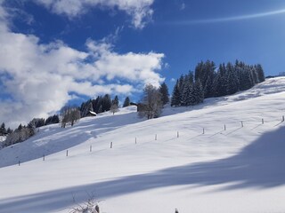 Appartamento per vacanze Riezlern Registrazione all'aperto 5