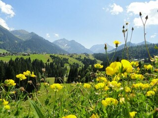 Appartamento per vacanze Riezlern Ambiente 23