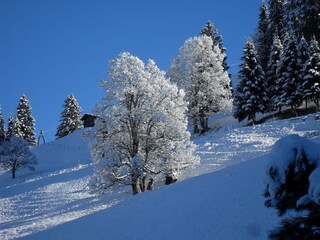 Appartamento per vacanze Riezlern Registrazione all'aperto 8