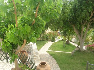 Villa Pitsidia Außenaufnahme 5