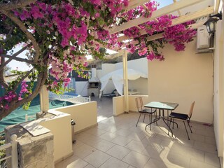 Villa Pitsidia Environment 13