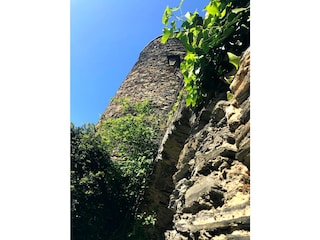 Holiday apartment Lorch Outdoor Recording 20