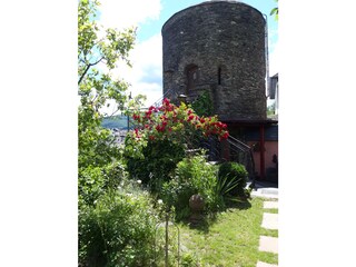 Rosenfülle am Hexenturm