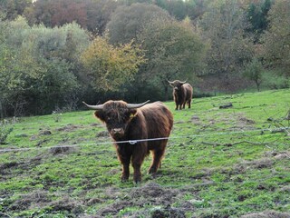 Hallo wer bist du denn?