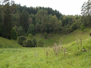 Wanderwege in direkter Umgebung