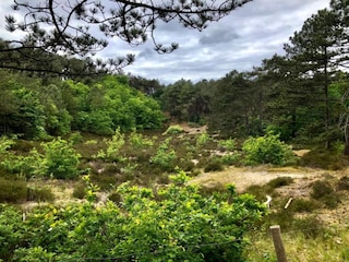 Apartment Schoorl Environment 25