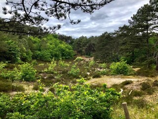 Apartment Schoorl Umgebung 26