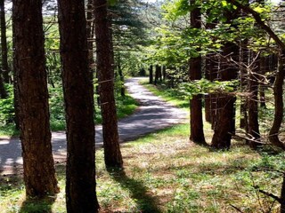 Apartment Schoorl Umgebung 30