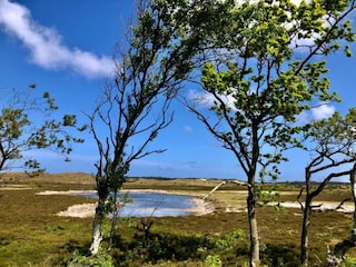 Apartment Schoorl Environment 26