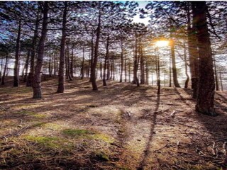 Apartment Schoorl Environment 33