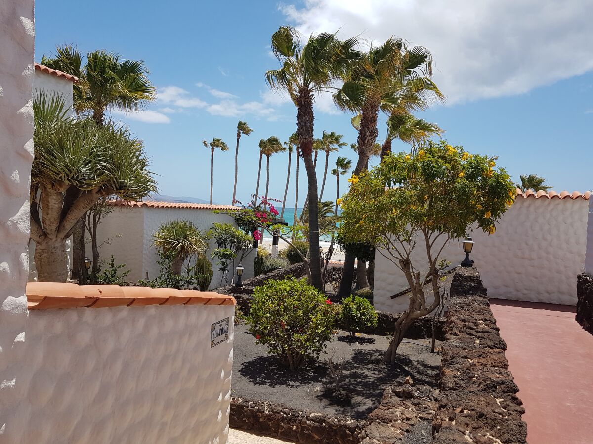 Apartment Alcazar, Costa Calma, Frau Sigrid Lehmann