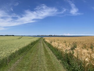 Auf dem Weg zur Schlei