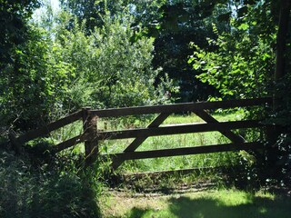 Casa per le vacanze De Cocksdorp Ambiente 22