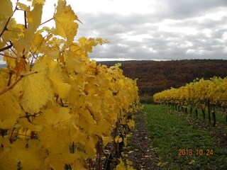 Casa per le vacanze Lohr am Main Ambiente 19