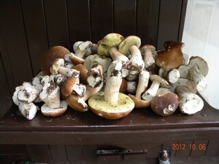 Casa per le vacanze Lohr am Main Ambiente 20