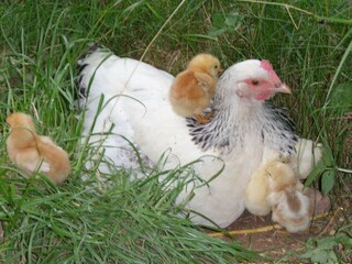 Casa per le vacanze Lohr am Main Ambiente 22
