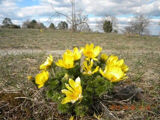 Casa per le vacanze Lohr am Main Ambiente 23