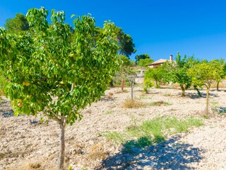 Villa Llucmajor Ambiente 33