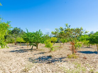 Villa Llucmajor Ambiente 34