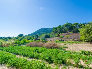 Villa Llucmajor Ambiente 37