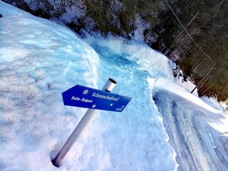 Schneeschuhweg - Kolm Saigurn