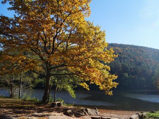 Appartamento per vacanze Weißenburg im Elsass Ambiente 19