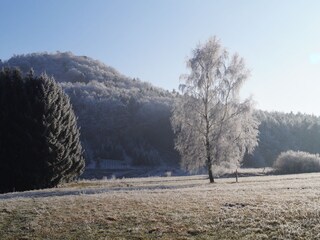 Appartamento per vacanze Weißenburg im Elsass Ambiente 20