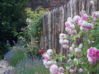 Appartamento per vacanze Weißenburg im Elsass Ambiente 16