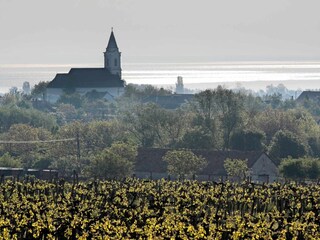 Balaton, Tihany Halbinsel, mit Abteikirche