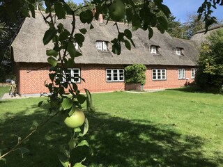 Ferienhaus Archsum Außenaufnahme 2
