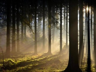 Chalet Bomal Ambiente 29