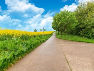 Vakantiehuis Bomal Omgeving 34